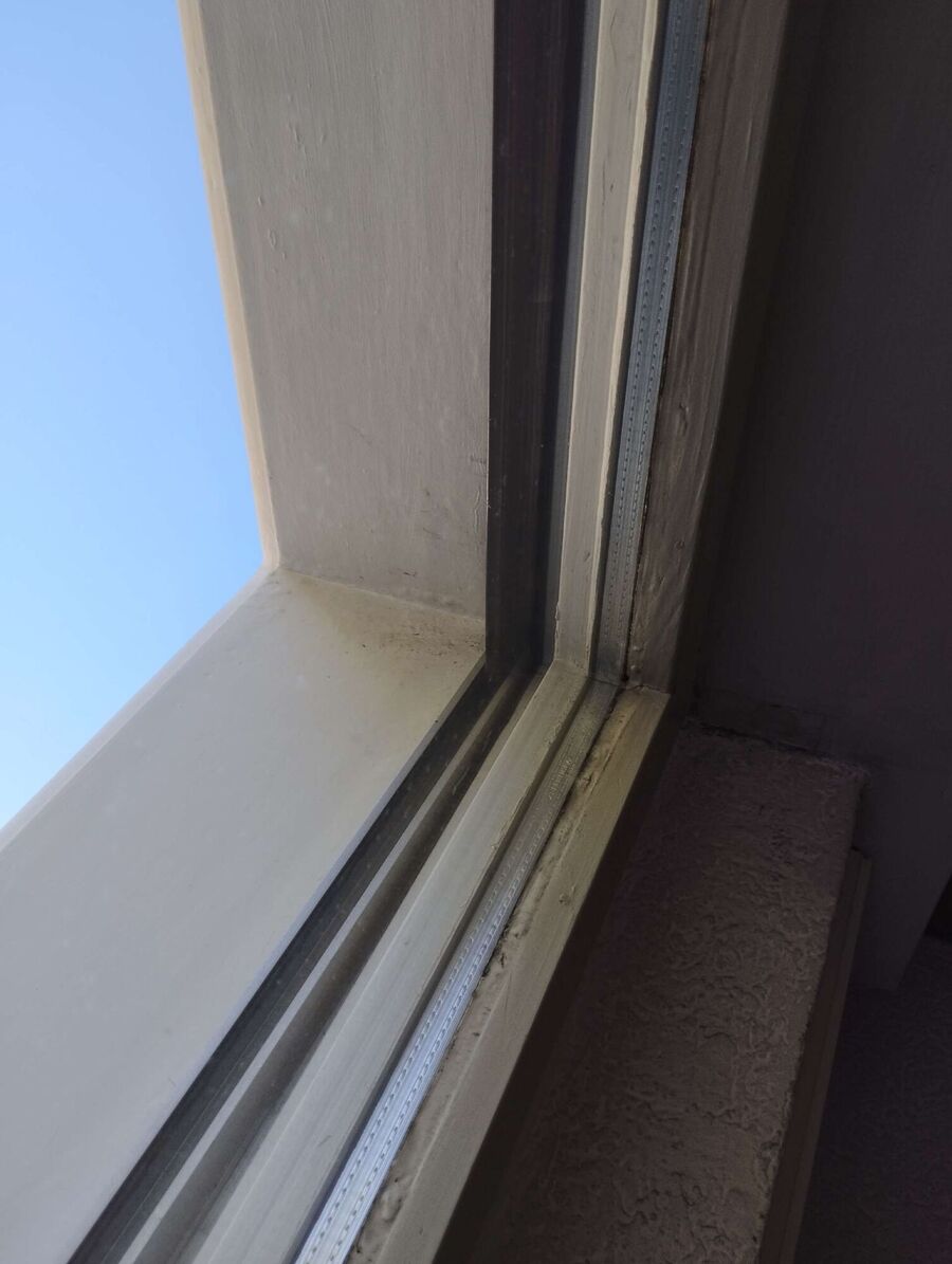 wespennest_entfernen