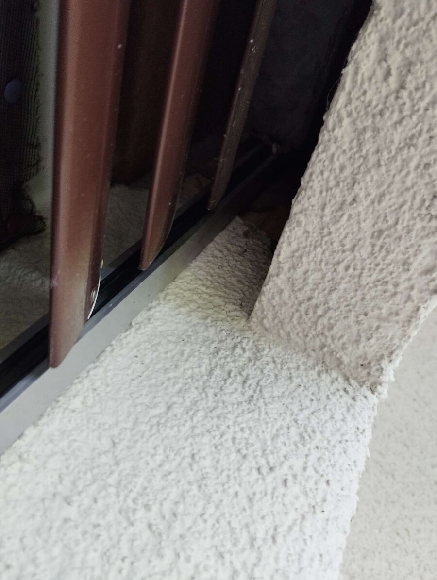 wespennest_entfernen