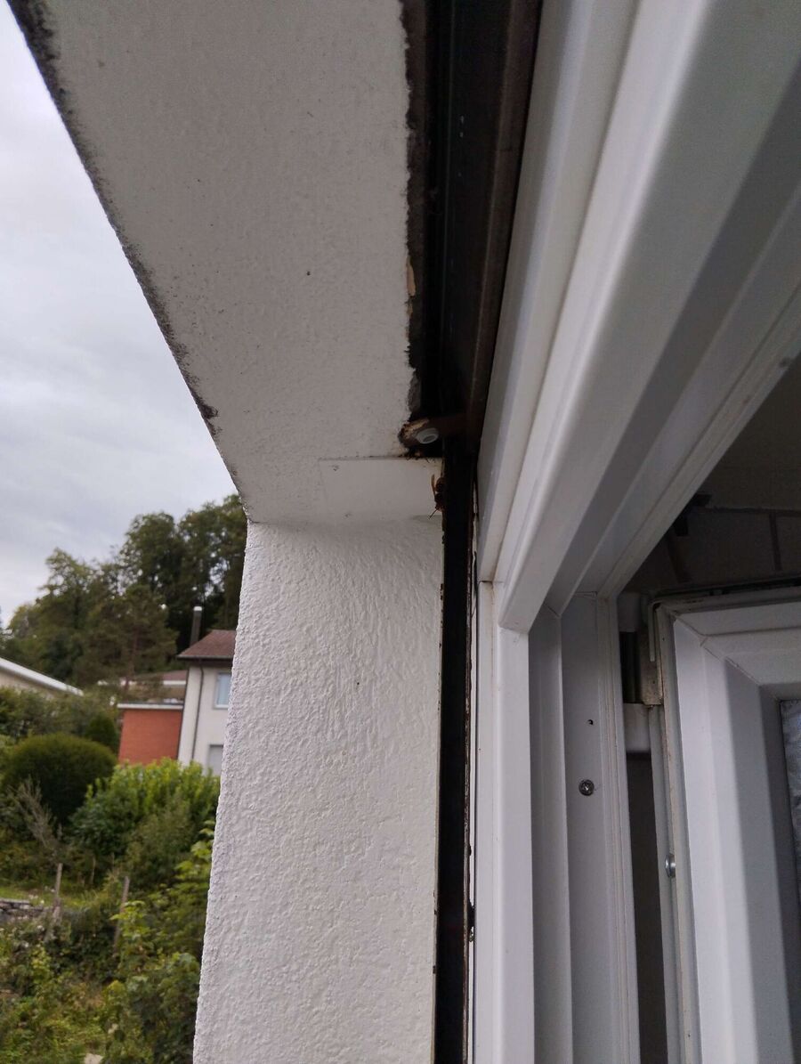 wespennest_entfernen