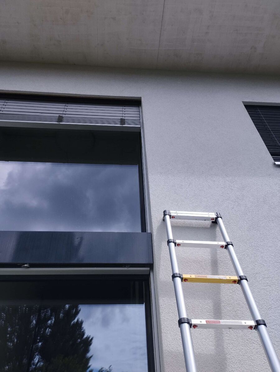 wespennest_entfernen