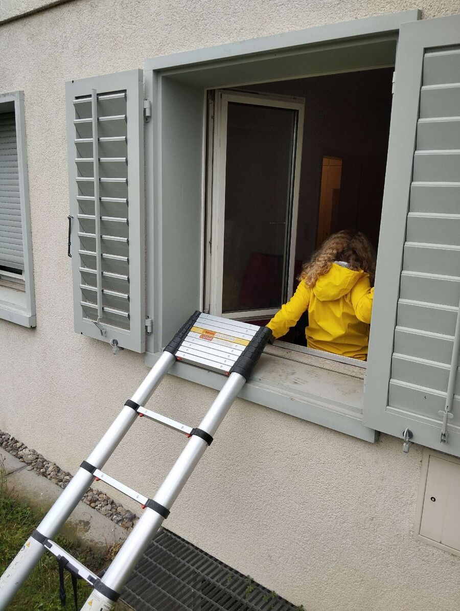 wespennest_entfernen