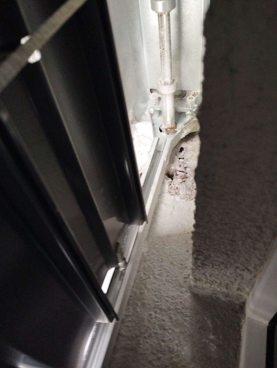 wespennest_entfernen