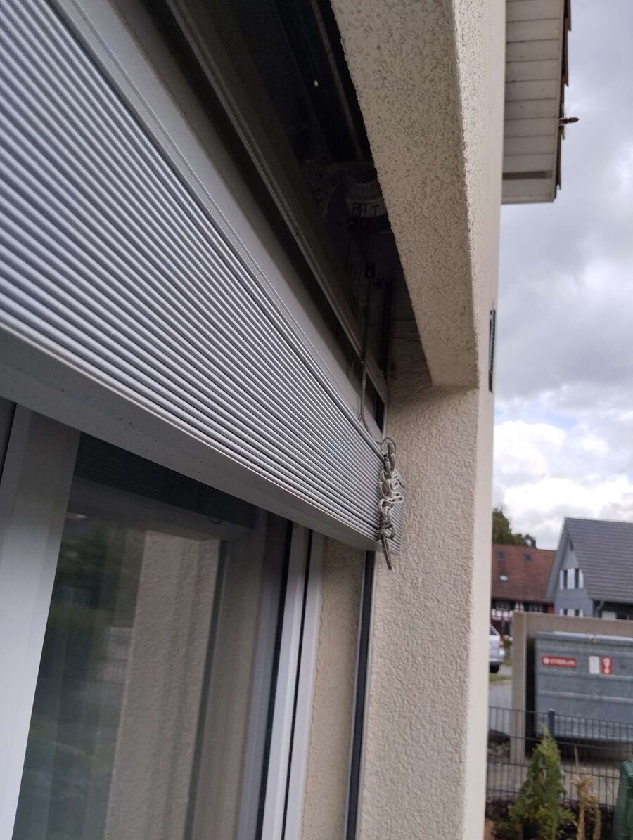 wespennest_entfernen