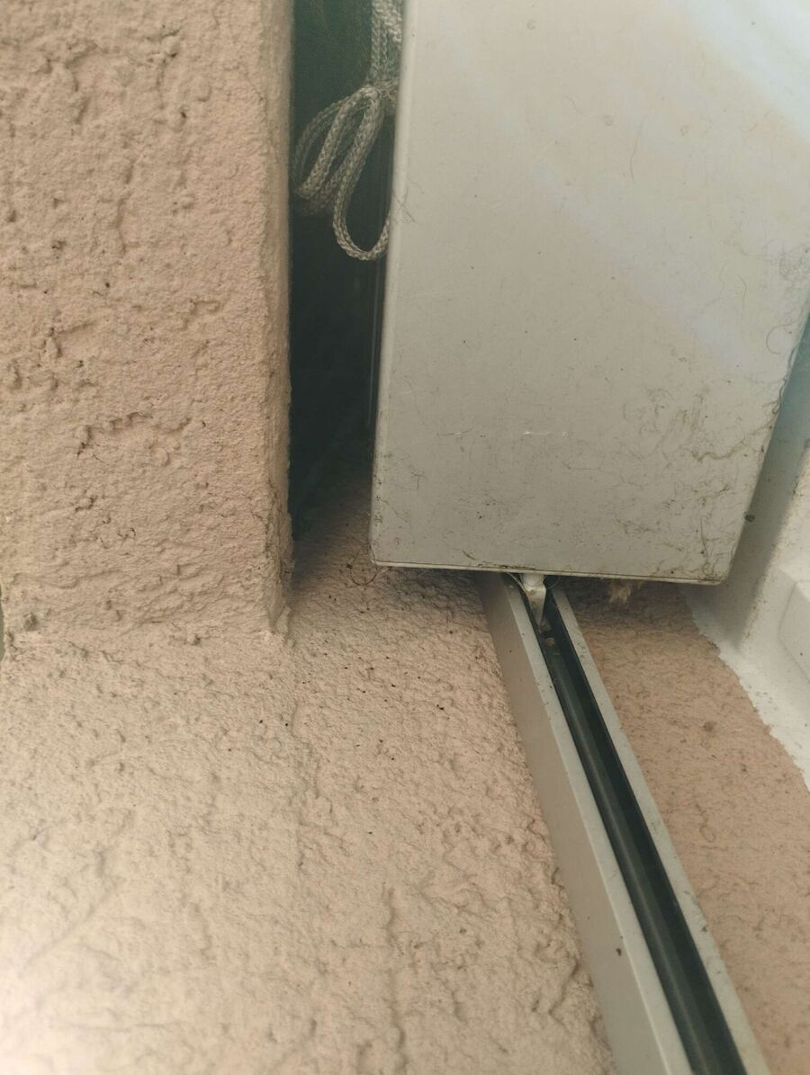 wespennest_entfernen