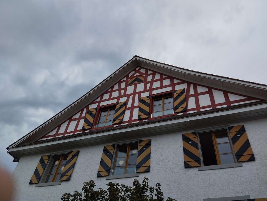 wespennest_entfernen