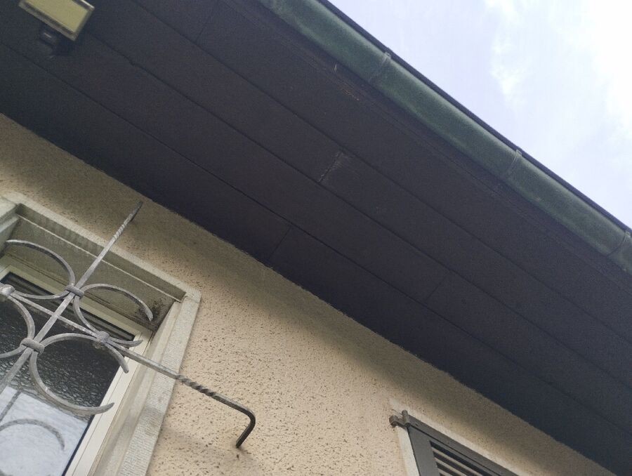 wespennest_entfernen