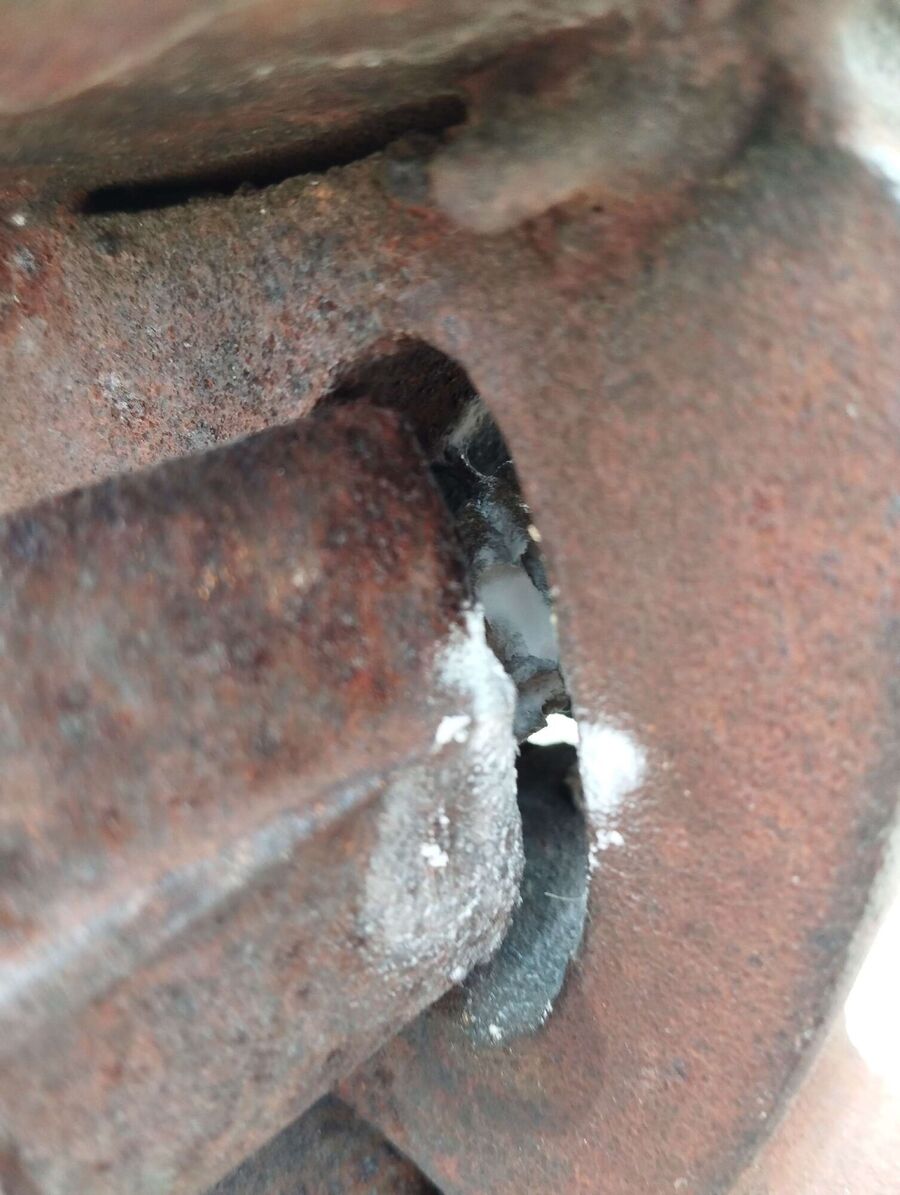 wespennest_entfernen