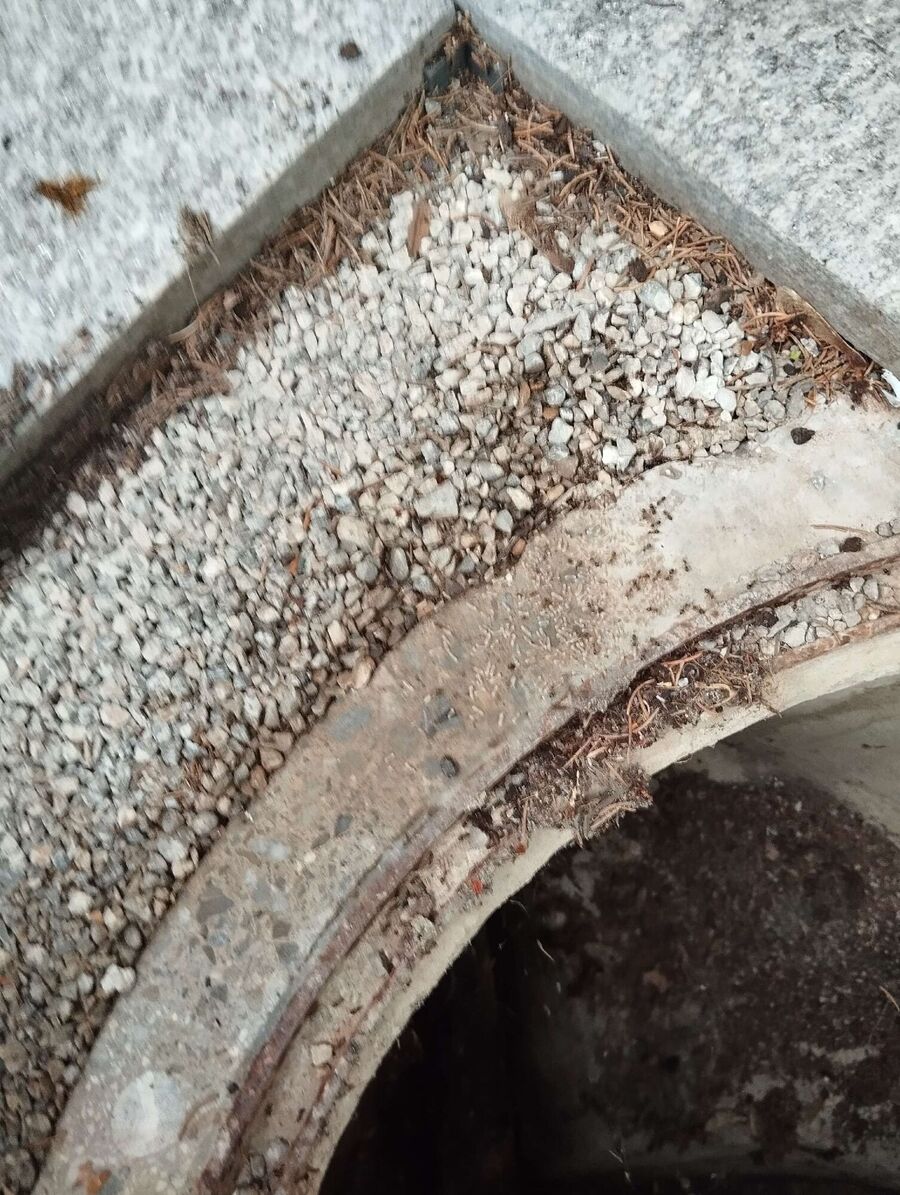 wespennest_entfernen