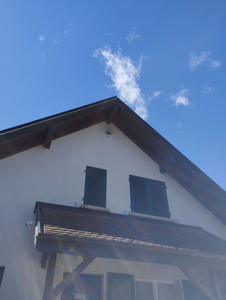 wespennest_entfernen