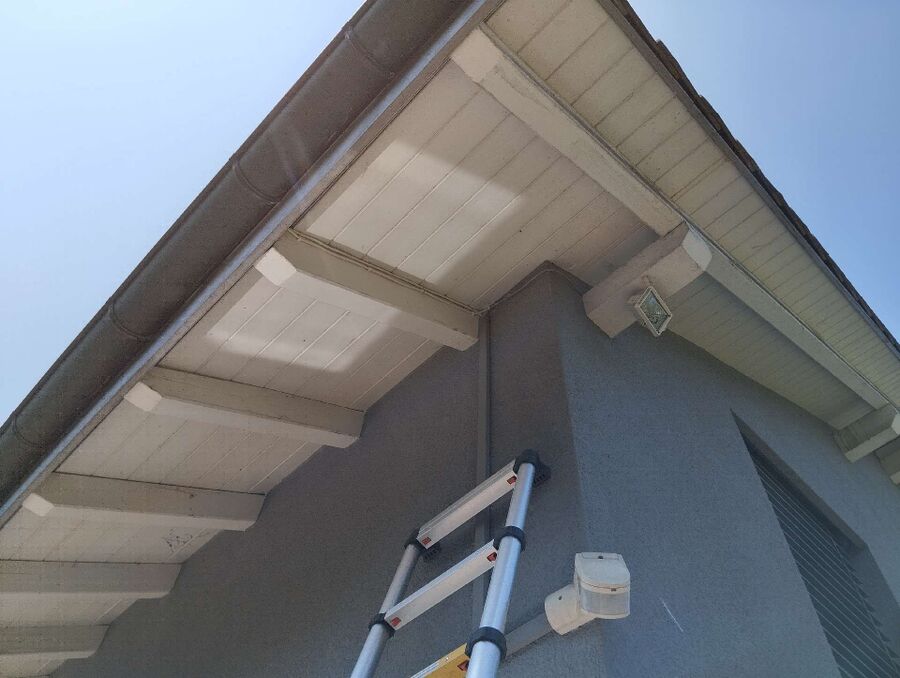 wespennest_entfernen