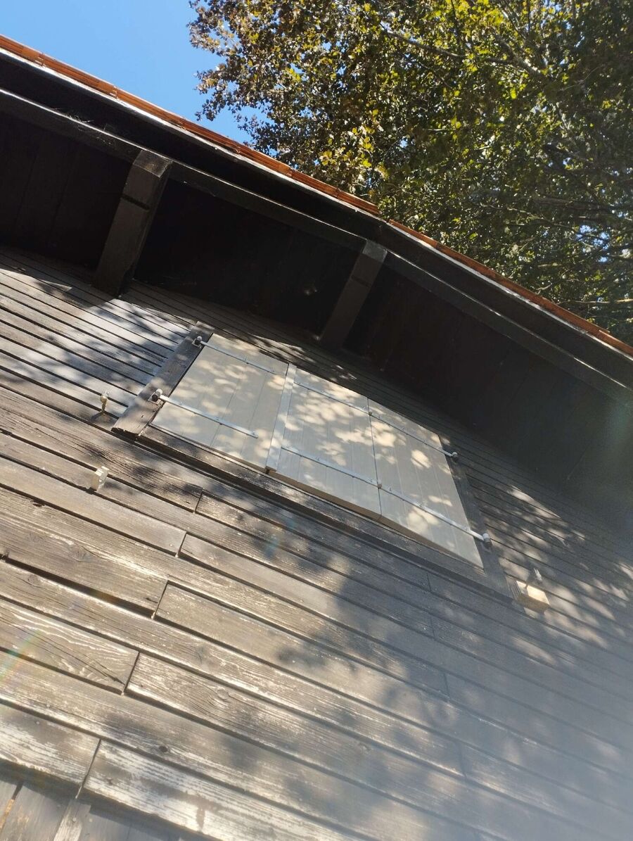 wespennest_entfernen