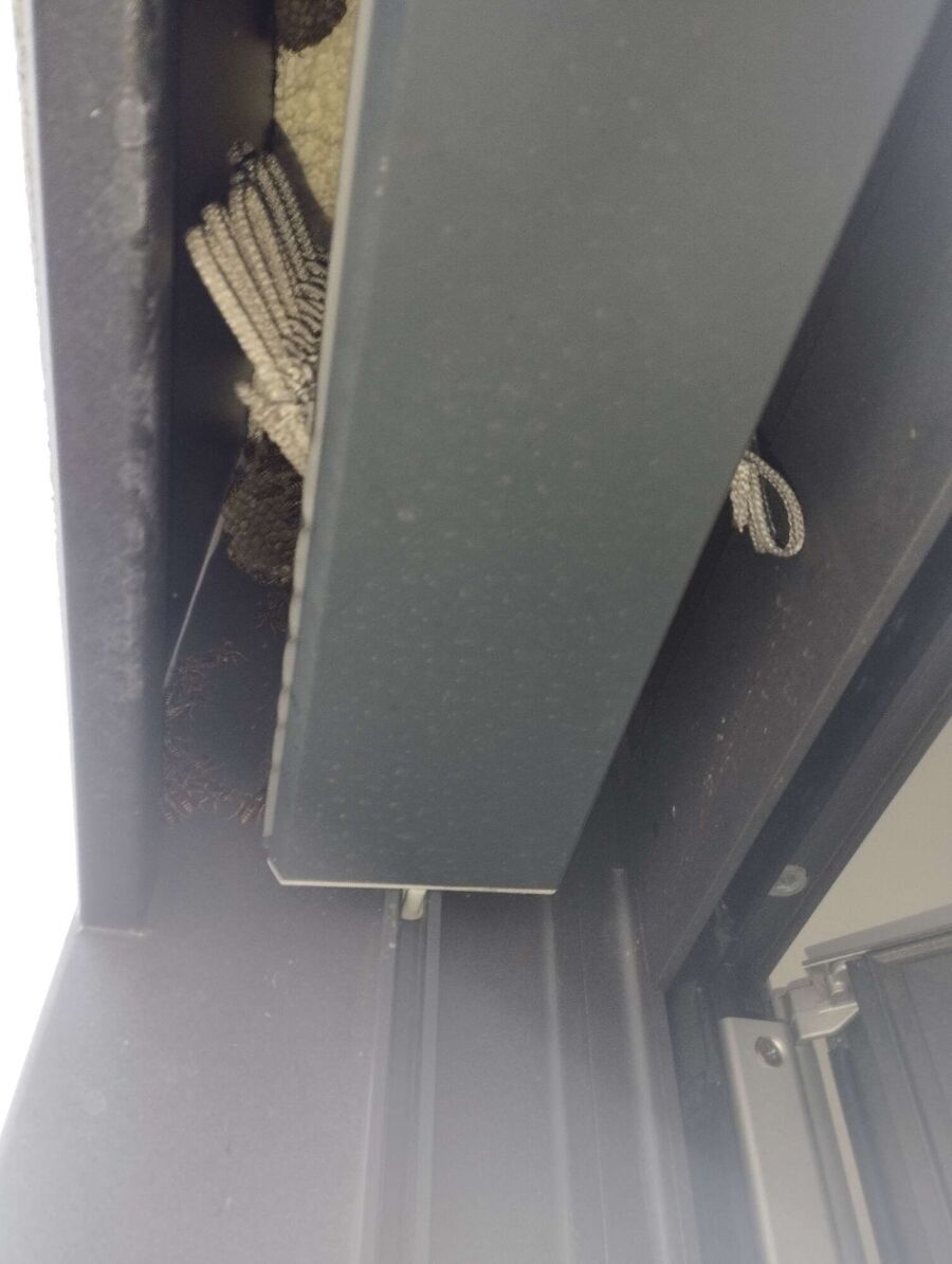 wespennest_entfernen