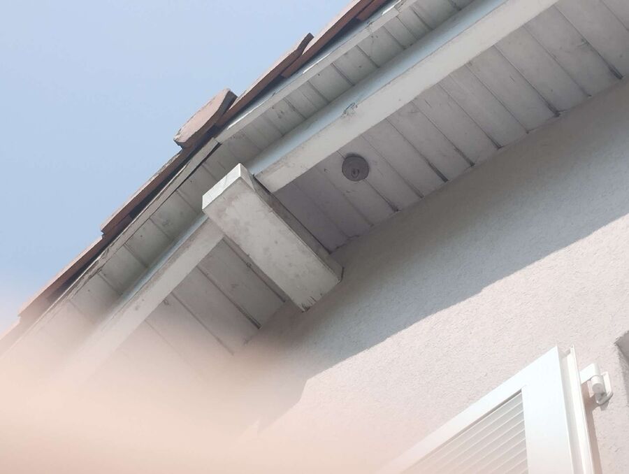 wespennest_entfernen