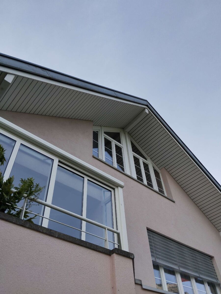 wespennest_entfernen