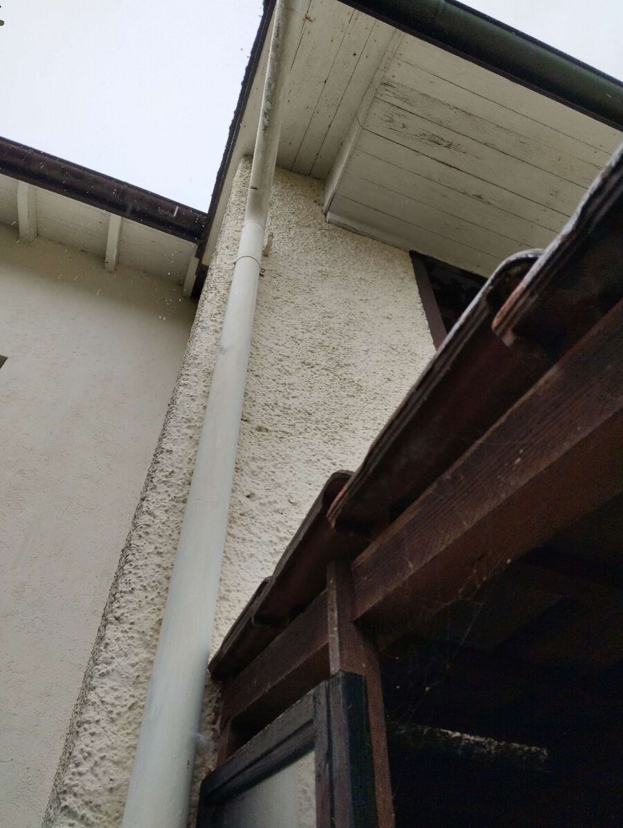 wespennest_entfernen