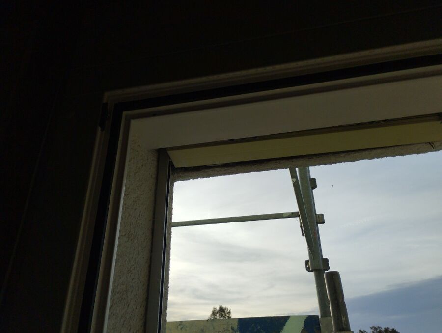 wespennest_entfernen