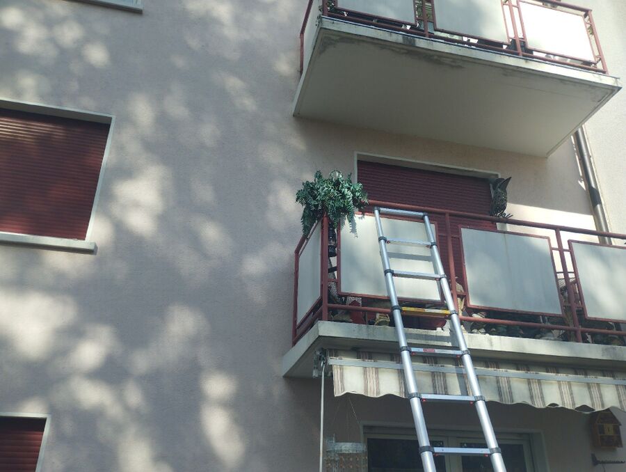 wespennest_entfernen