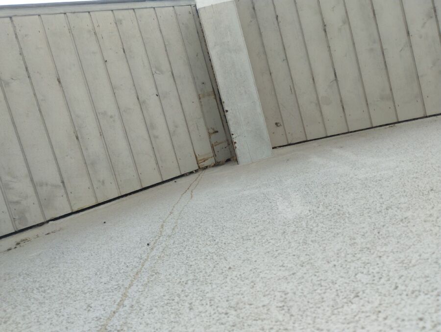 wespennest_entfernen