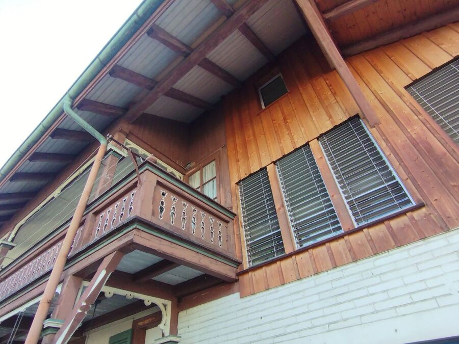 wespennest_entfernen