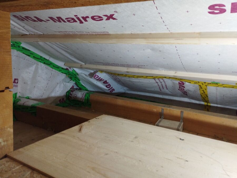 wespennest_entfernen