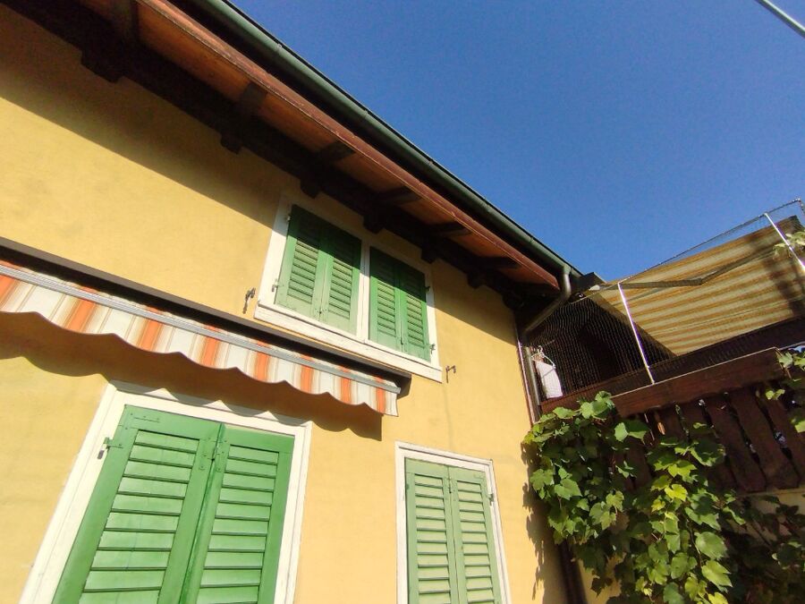 wespennest_entfernen