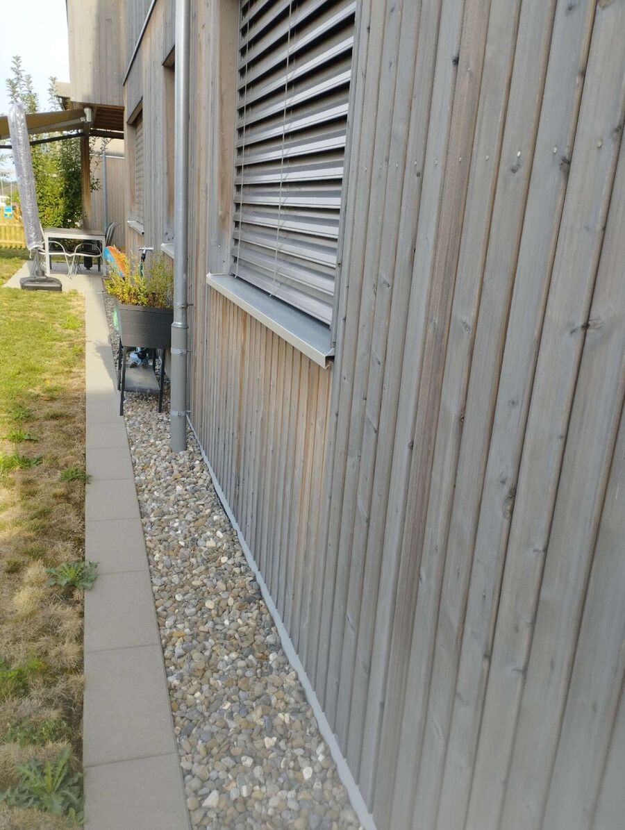 wespennest_entfernen