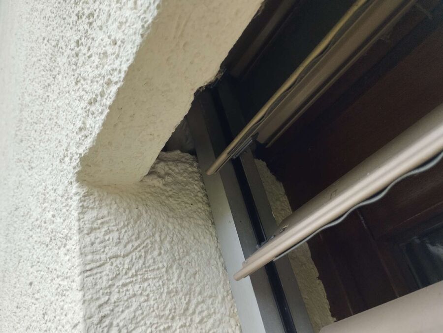 wespennest_entfernen