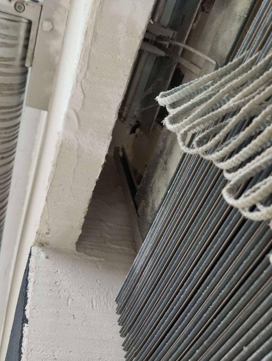 wespennest_entfernen