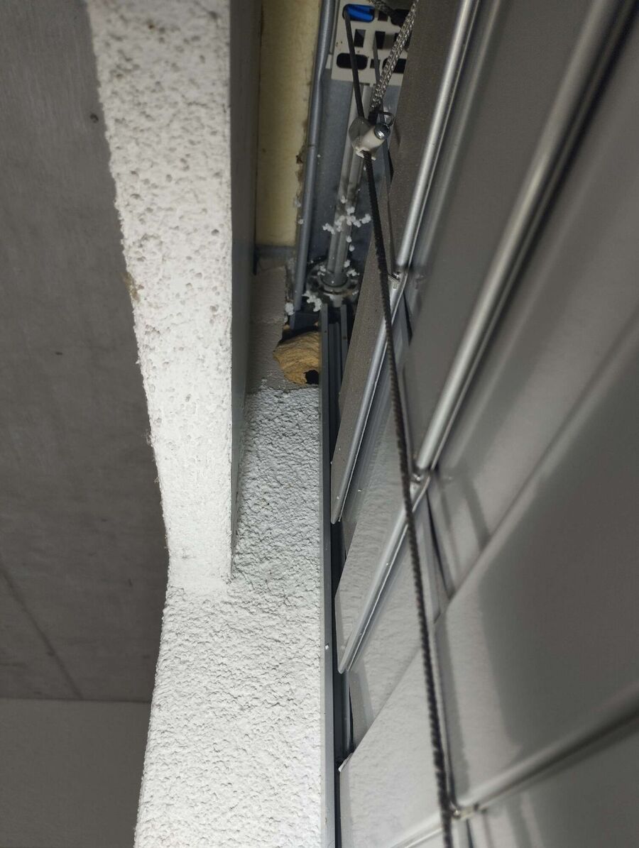 wespennest_entfernen