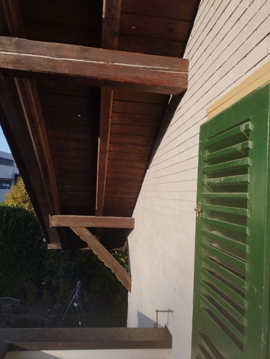 wespennest_entfernen