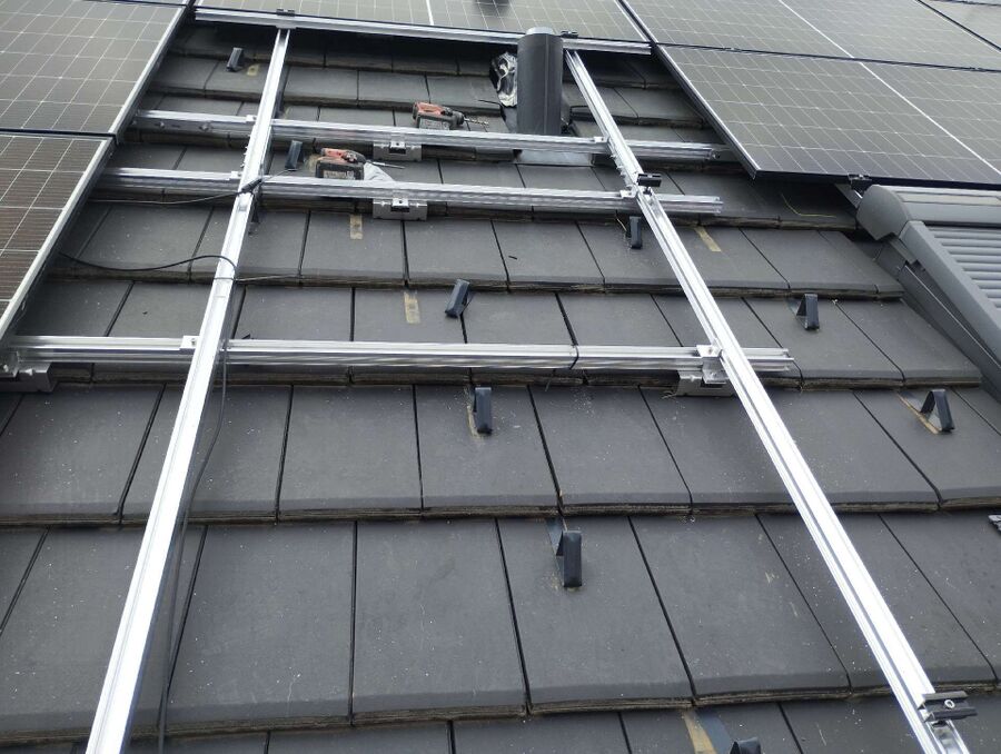 wespennest_entfernen