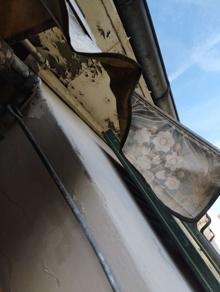 wespennest_entfernen