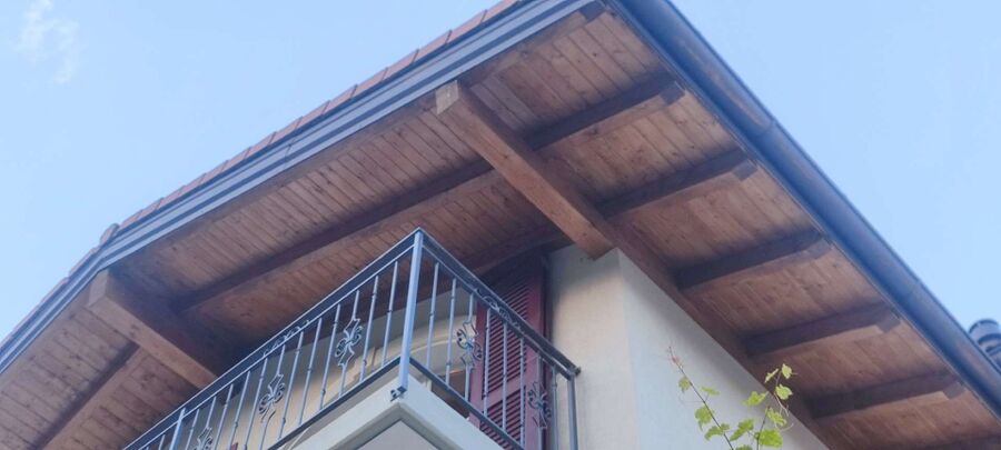 wespennest_entfernen