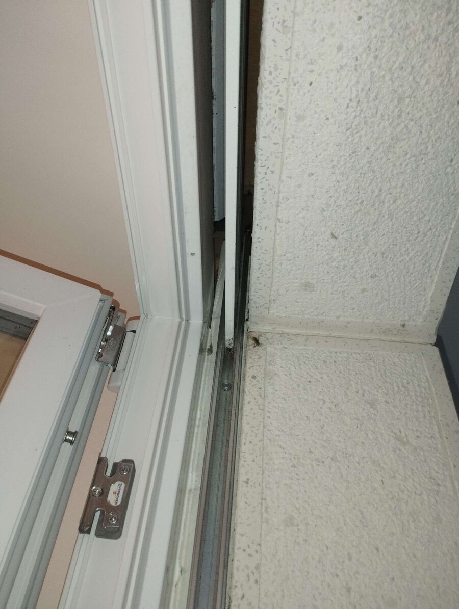 wespennest_entfernen