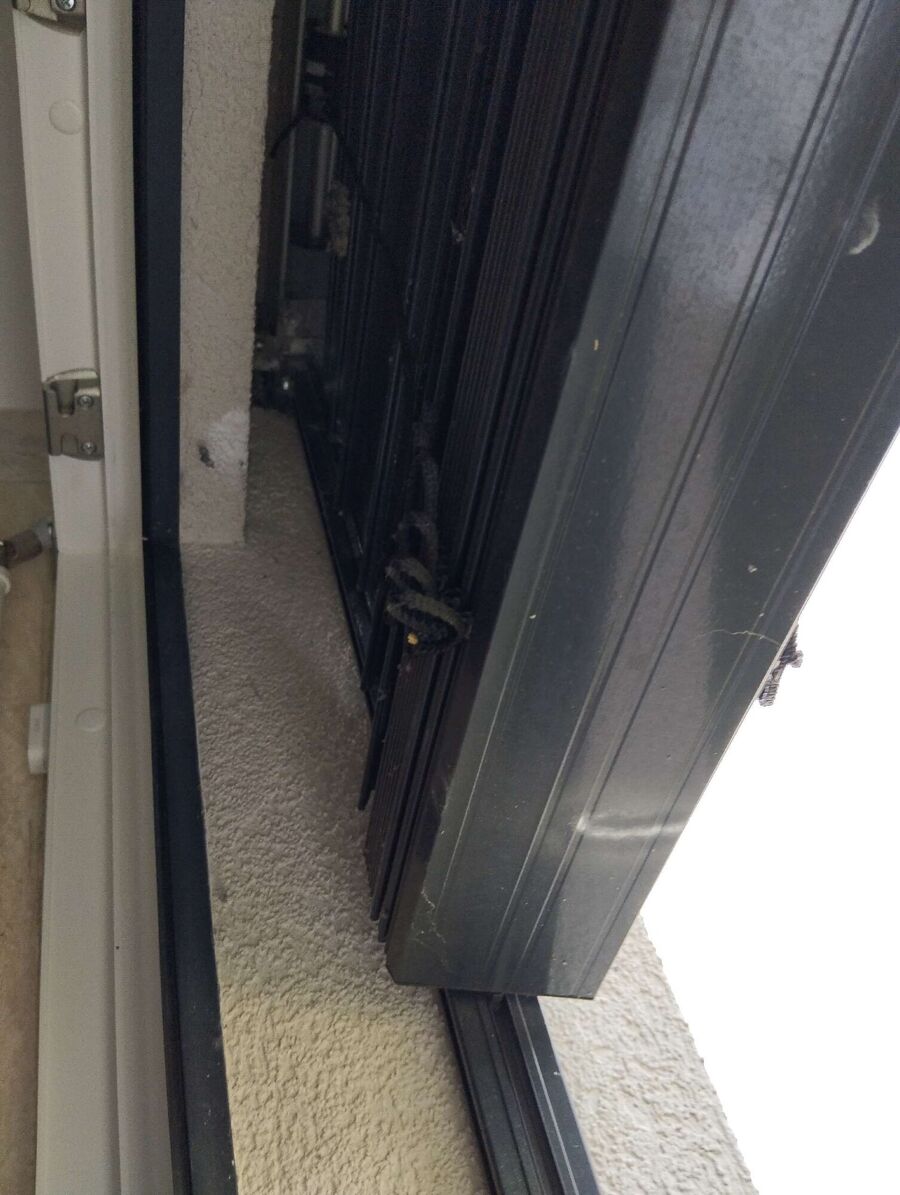 wespennest_entfernen