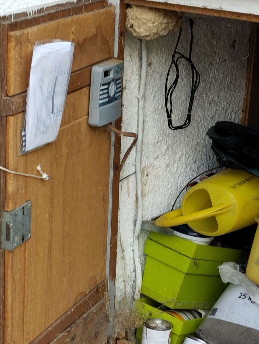 wespennest_entfernen