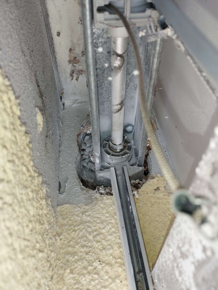 wespennest_entfernen