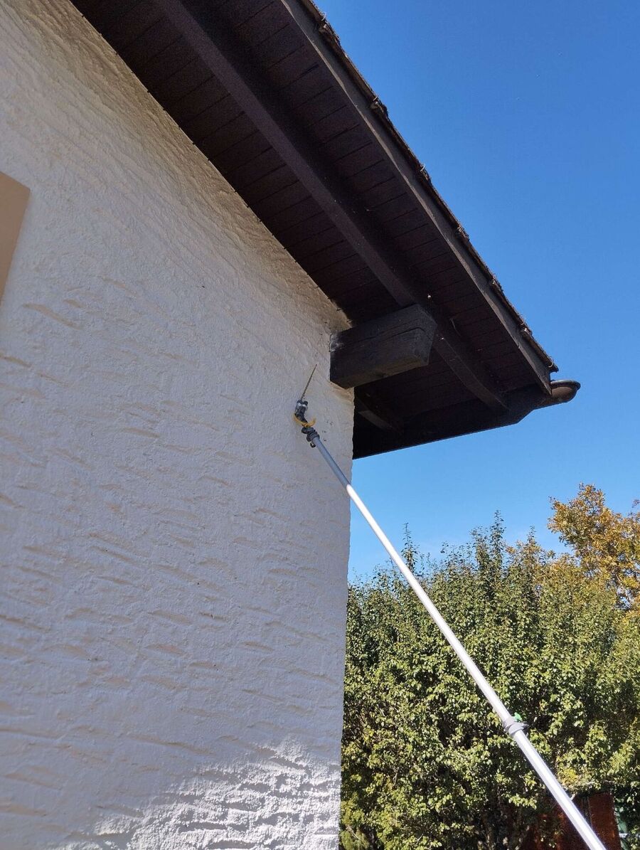 wespennest_entfernen