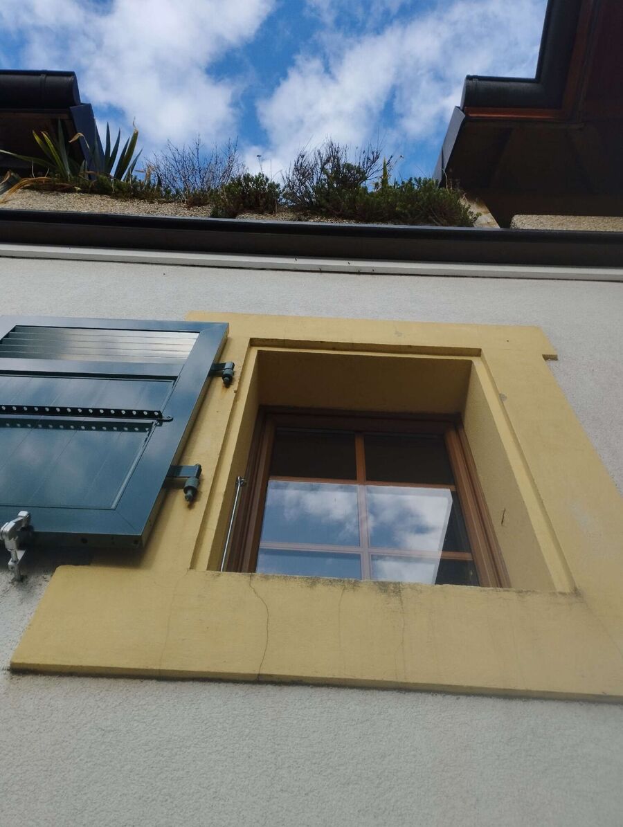 wespennest_entfernen