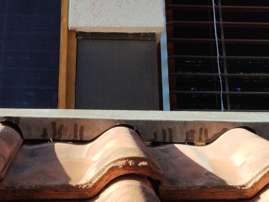 wespennest_entfernen