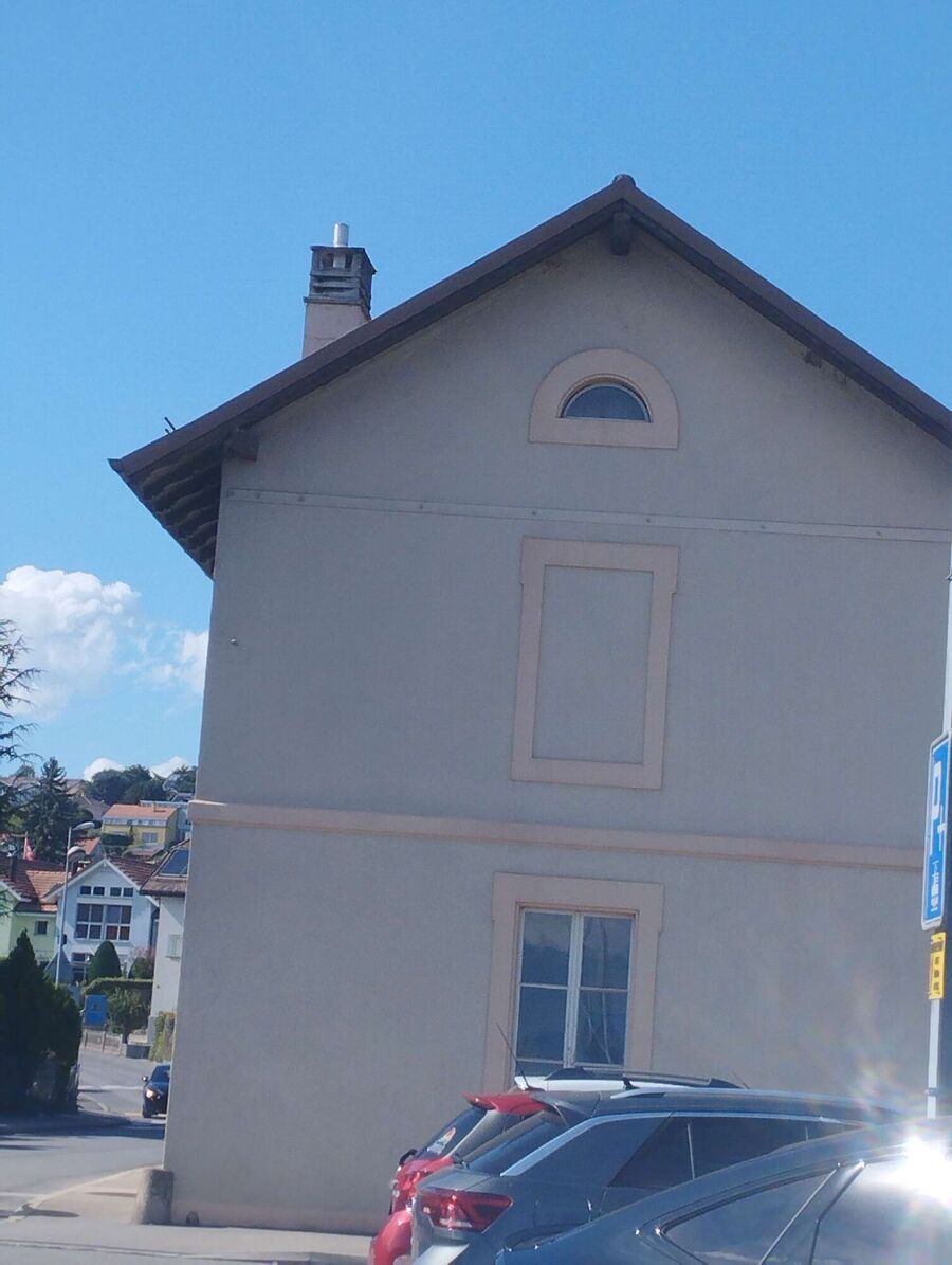 wespennest_entfernen