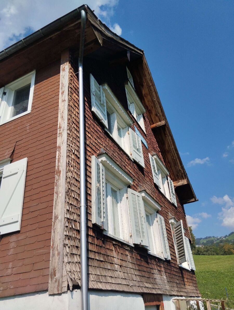 wespennest_entfernen