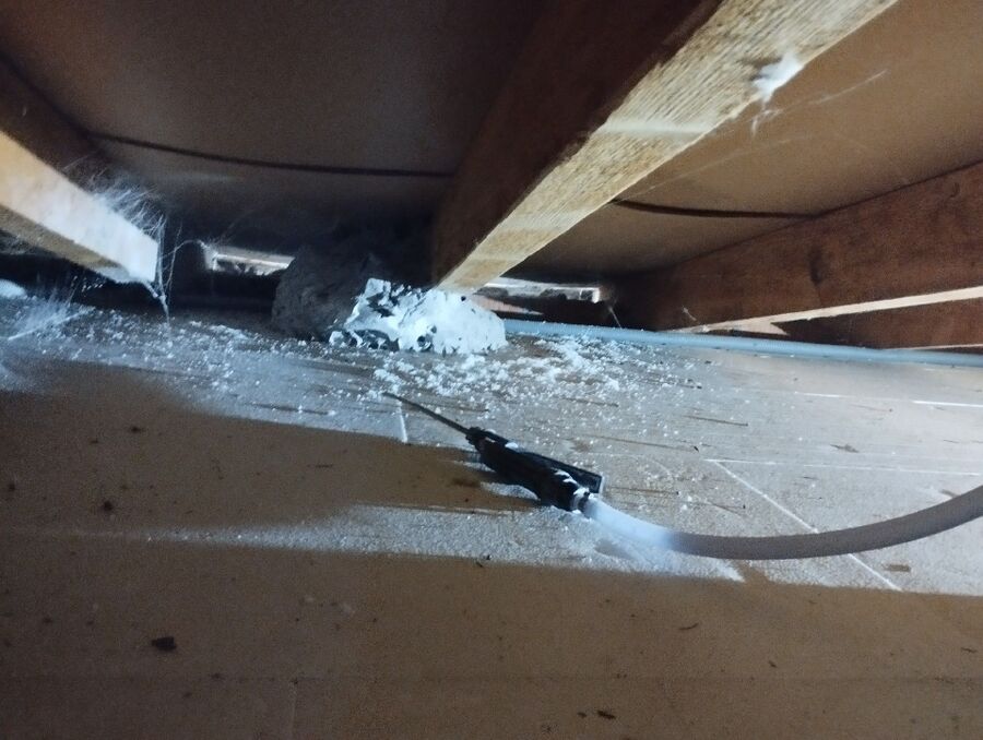 wespennest_entfernen