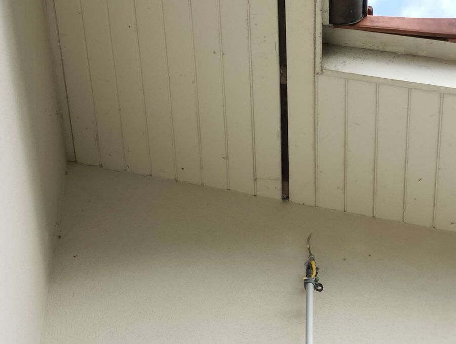 wespennest_entfernen