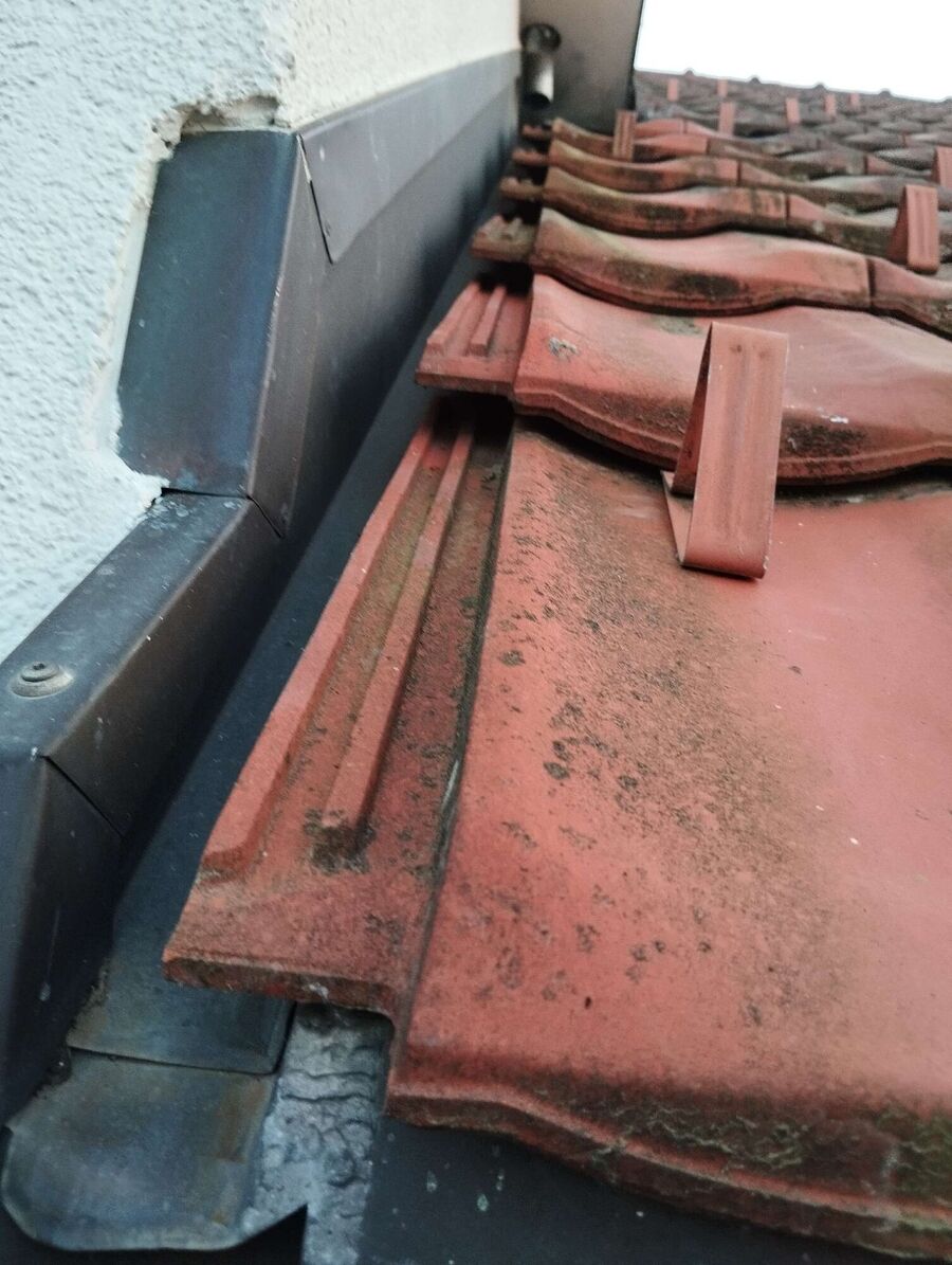 wespennest_entfernen