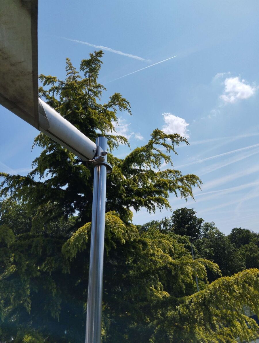 wespennest_entfernen