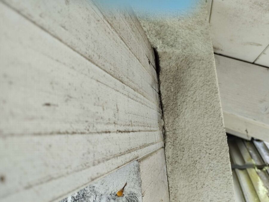 ameisen_vertreiben_bekaempfen_entfernen