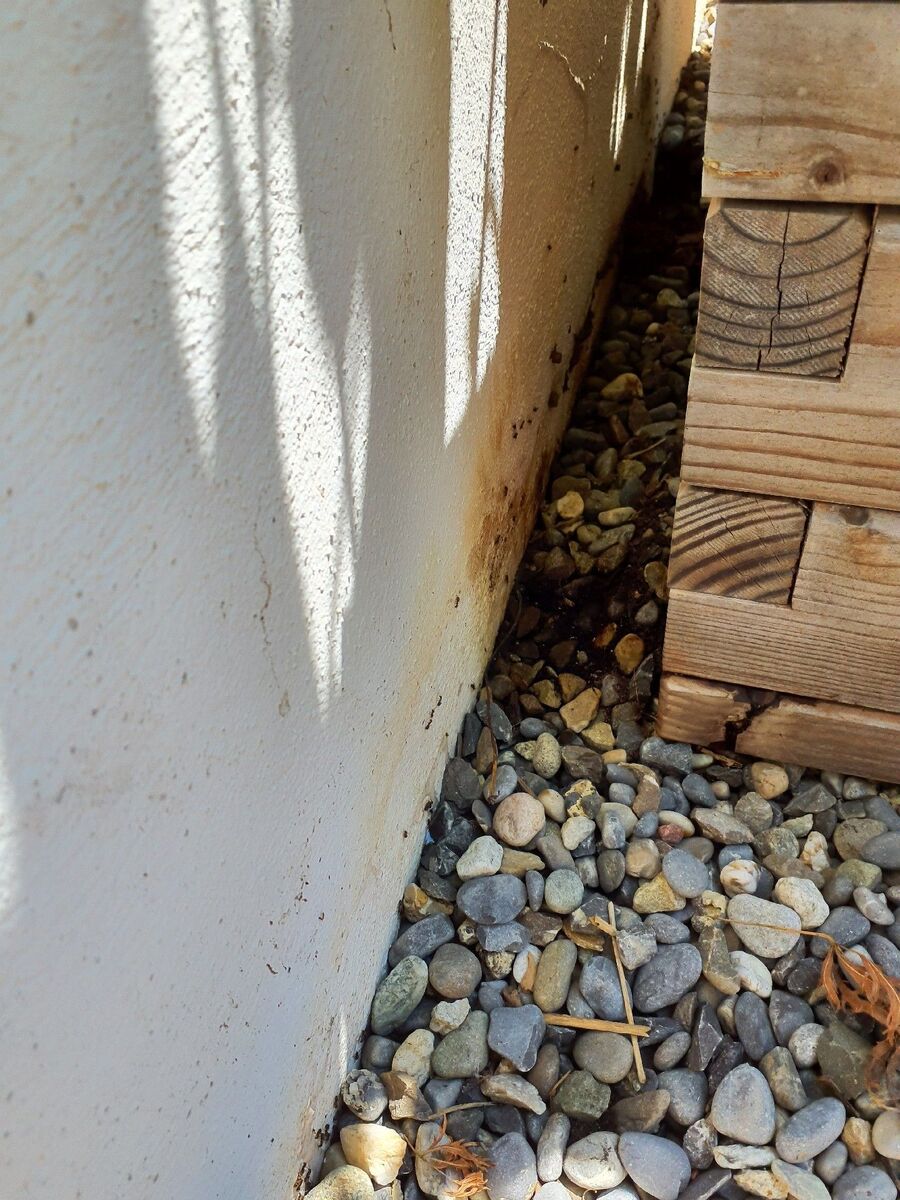 ameisen_vertreiben_bekaempfen_entfernen