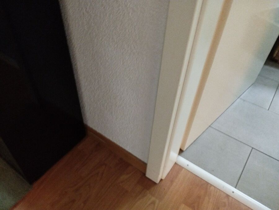 ameisen_vertreiben_bekaempfen_entfernen