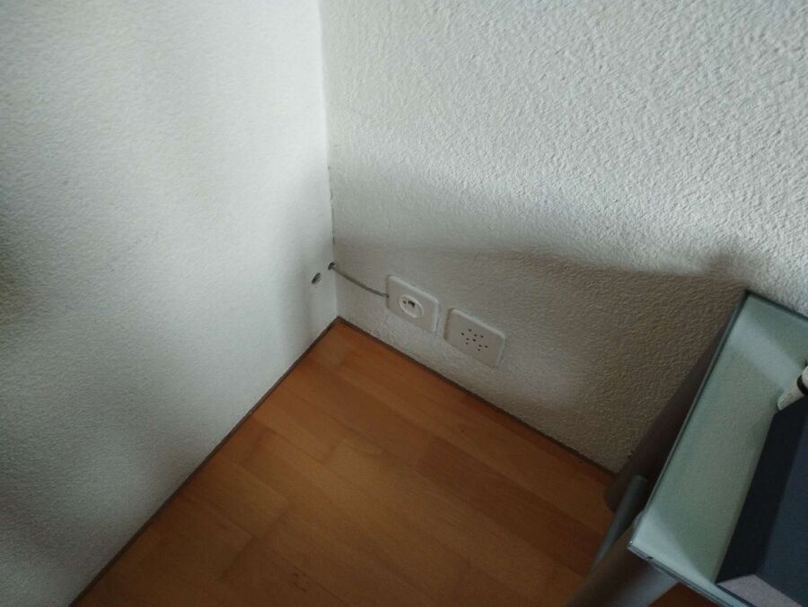 ameisen_vertreiben_bekaempfen_entfernen